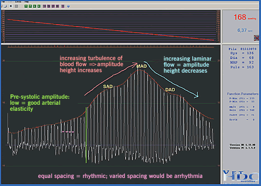 normal or optimal oscillometric graph from blood pressure measurement in animals